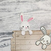 Stans Peekaboo Bunny 24x34mm /st
