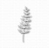 Stans Paardenstaart links 30&times;85mm p/st