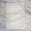 Stans Happy Birthday Ticket 100x50mm p/st