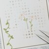 Stans bloemen Rudbeckia's 2st 19x33mm p/st