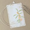 Stans Sea Buckthorn 40x66mm p/st