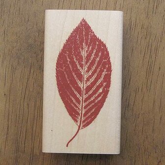 Stempel blad met nerven p/st hout