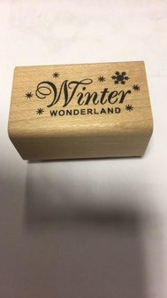 Stempel winter wonderland 4x2.5cm p/st hout