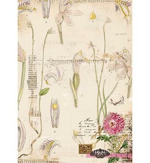 Papier nr.247 A4 Romantic Botanic p/vel