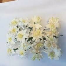 Bloemen wit/creme 3cm p/16st