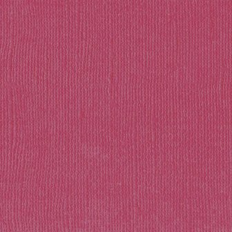 Cardstock cassis 30.5x30.5cm texture 216gr p/vel