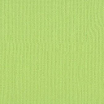 Cardstock Celery 30.5x30.5cm texture 216gr p/vel