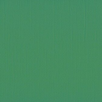 Cardstock Emerald 30.5x30.5cm texture 216gr p/vel