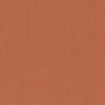 Cardstock fox 30.5x30.5cm texture 216gr p/vel