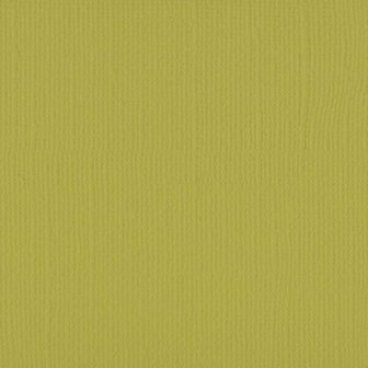 Cardstock mustard 30.5x30.5cm texture 216gr p/vel