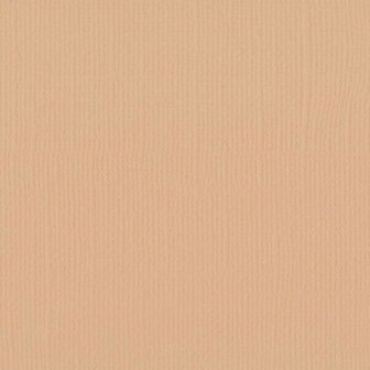 Cardstock Parchment 30.5x30.5cm texture 216gr p/vel