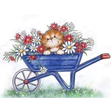 Clear stamp Cat in Wheelbarrow A7 p/st