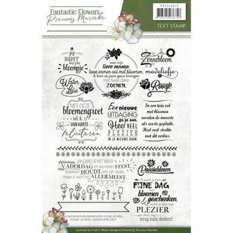 Clear stamp Fantastic Flowers text p/st