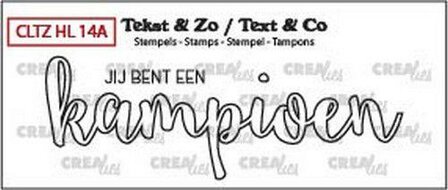 Clear stamp Handlettering Kampioen open p/st Tekst&amp;Zo 