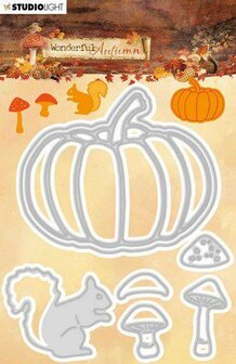 Stans nr.309 Wonderful Autumn pompoen p/st