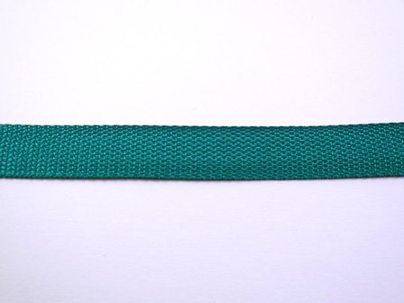 Tassenband grasgroen 25mm p/mtr Polypropylene 