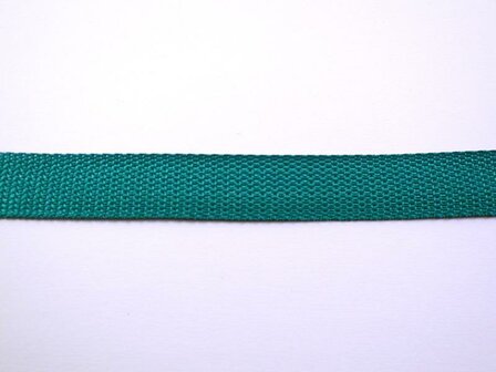 Tassenband grasgroen 40mm p/mtr Polypropylene 