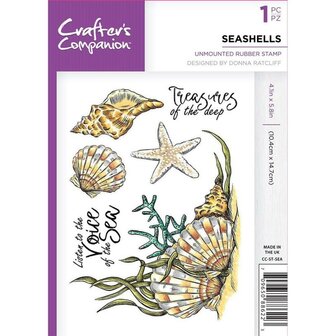 Stamp seashells A6 p/st rubber unmounted