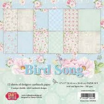 Paper pad 30.5x30.5cm Bird Song p/12vel