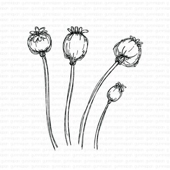 Stamp Doodled seed Capsules 50-91mm p/st rubber Unmounted