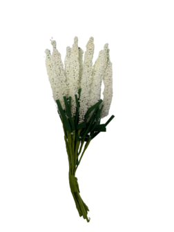 Bloemen creme Hyacinth 14cm p/10st