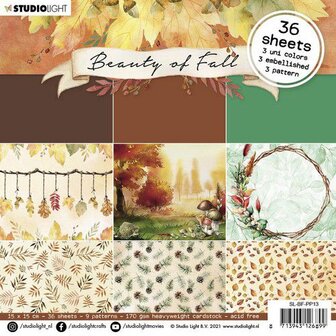 Paper pad Beauty of fall nr.13 15x15cm p/36vel
