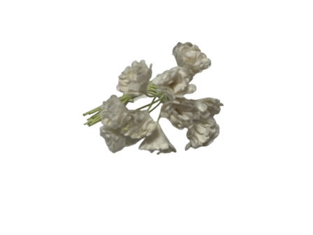 Bloemen wit Gypsophila bloem mulberry p/10st wit