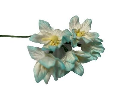 Bloemen lichtblauw lily mulberry p/5st