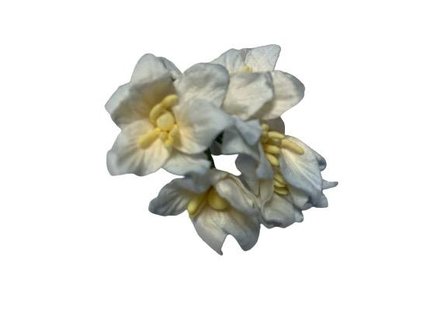 Bloemen wit lily mulberry p/5st lichtblauw