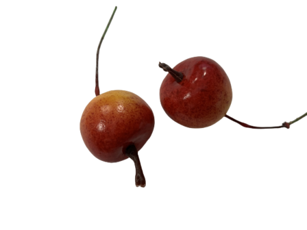 Steker appel 2 cm p/5st rood