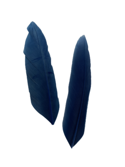 Veren donkerblauw zonder ringetje 9cm p/20st 