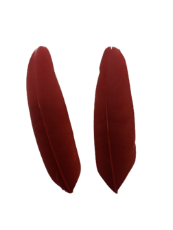 Veren rood zonder ringetje 9cm p/20st 