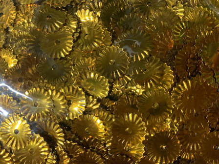 Confetti goud pailletten p/15gr zonnetjes rond 