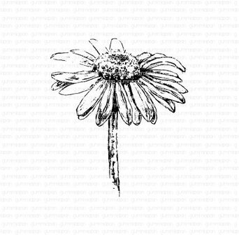 Stamp Daisy bloem 73x83mm p/st rubber unmounted 