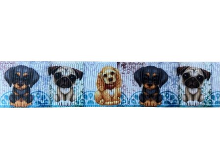 Lint blauw honden 22mm p/m