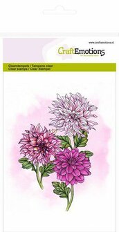 Clear stamp dahlia A6 p/st