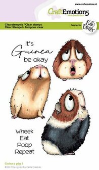 Clear stamps A6 it&#039;s guinea be okey p/st