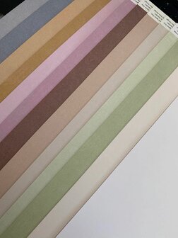 Cardstock Pion diverse kleuren 30.5x30.5cm p/13vel 