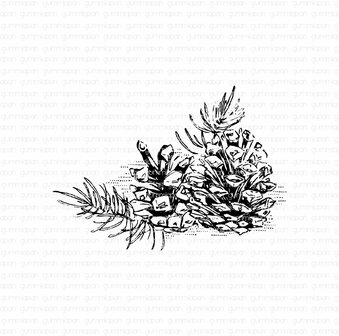 Stamp Pinecones Collage dennenappels 77x55mm p/st