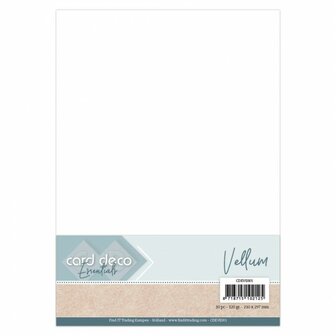 Papier Transparant Vellum A4 p/10vel  Card Deco