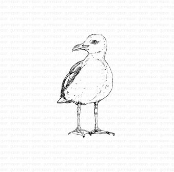 Stamp Seagull front view zeemeeuw p/st rubber unmounted 