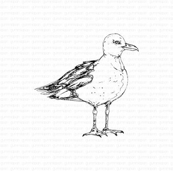 Stamp Seagull from the side zeemeeuw 62x65mm p/st rubber unmounted 