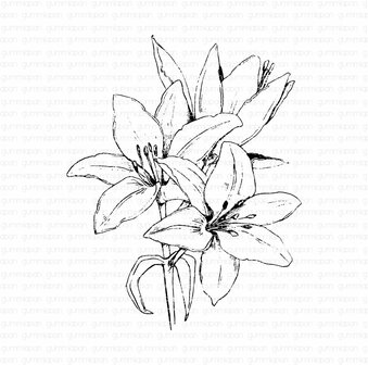 Stamp Lily 83x104mm p/st rubber unmounted 
