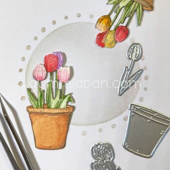 Stans Tulpen in pot p/st