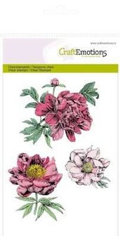 Clear stamps A6 Peonies p/st