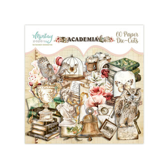 Die cuts Academia p/60st