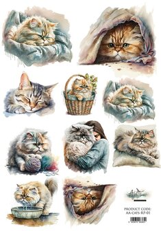 Rice Paper cats A4 (21x29.7cm) 25-30g A4 p/vel