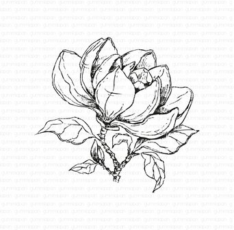 Stamp magnolia 79x75mm p/st rubber unmounted 