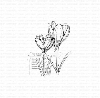 Stamp krokuscollage 50x63mm p/st rubber unmounted 