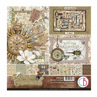 Paper pad Cabinet of Curiosities 20x20cm p/12vel